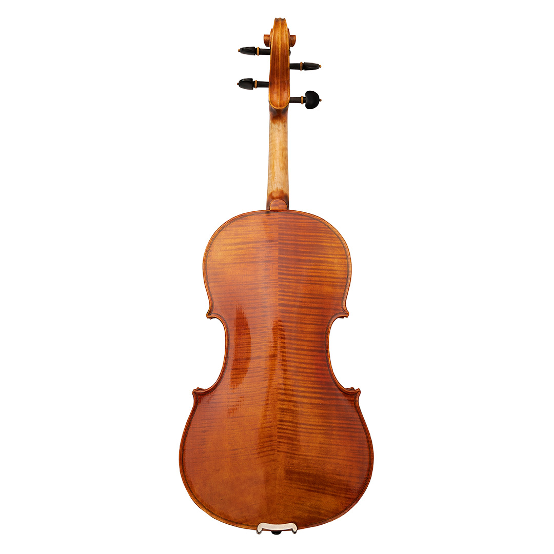 animato violin back