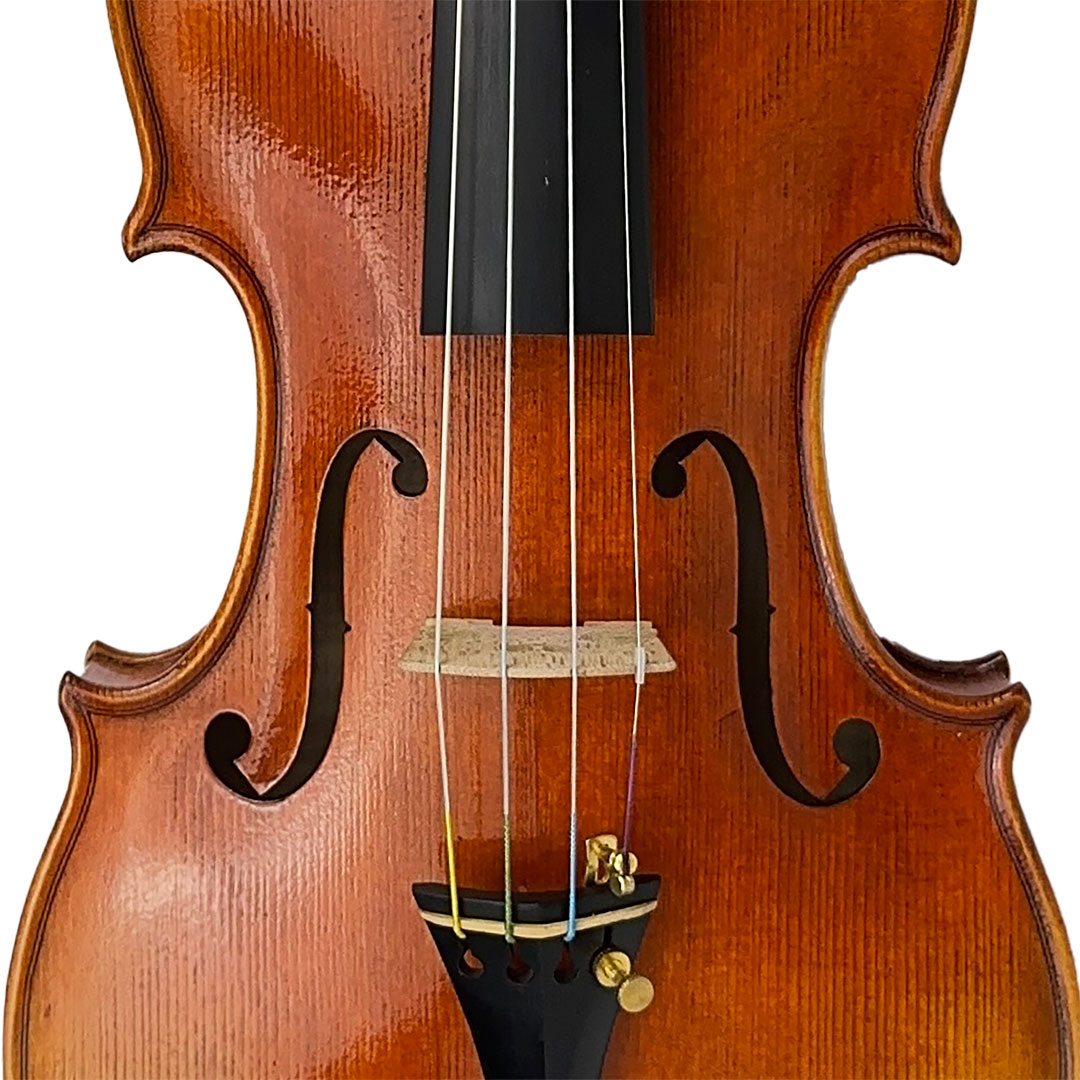 violin-tiger-light-front-detail-square