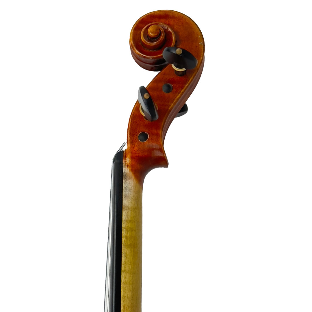 violin-tiger-light-scroll-square
